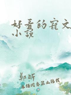 好看的宠文甜文小说