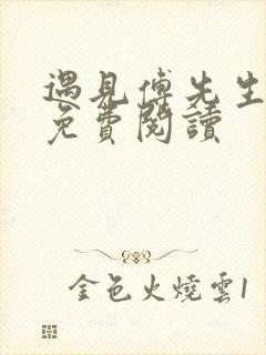 遇见傅先生全文免费阅读