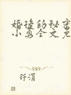 婚后的秘密张妍小勇全文免费阅读