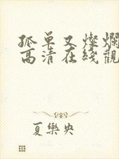 孤单又灿烂的神高清在线观看