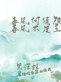 春风何须怨杨柳春风不度玉门关的意思