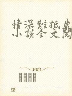 情深难抵岁月长小说全文阅读