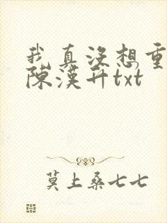我真没想重生啊陈汉升txt