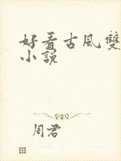 好看古风双男主小说