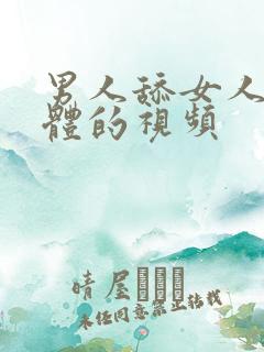 男人舔女人的下体的视频