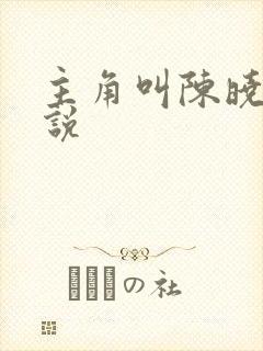 主角叫陈晓的小说