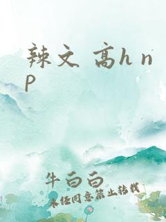 辣文 高h np