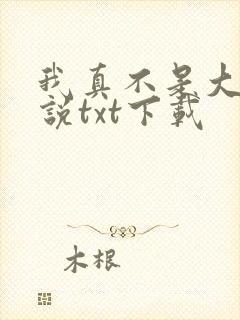 我真不是大佬小说txt下载