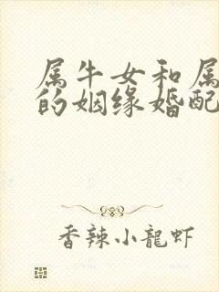 属牛女和属蛇男的姻缘婚配