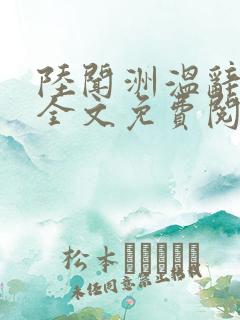 陆闻洲温辞小说全文免费阅读