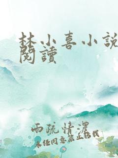 林小喜小说全文阅读