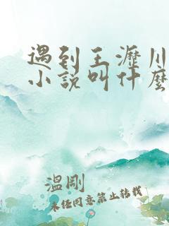 遇到王沥川原著小说叫什么