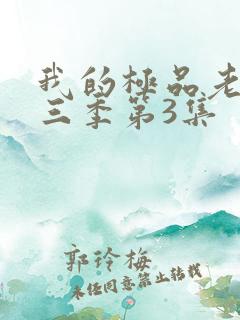 我的极品老婆第三季第3集