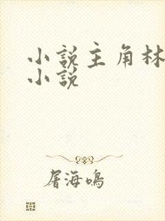 小说主角林枫的小说