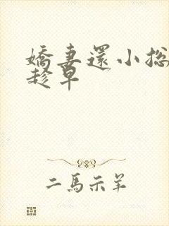 娇妻还小总裁要趁早