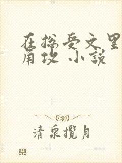 在总受文里抢主角攻 小说