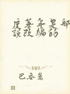 度华年是哪部小说改编的