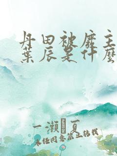 丹田被废主角叫叶辰是什么小说