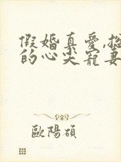 假婚真爱,总裁的心尖宠妻小说