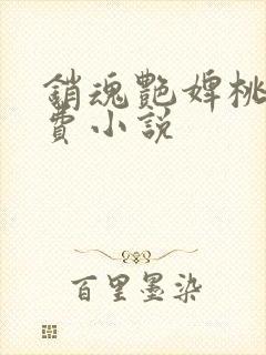 销魂艳婢桃儿免费小说