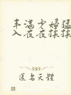 丰满少妇猛烈进入夜夜揉揉