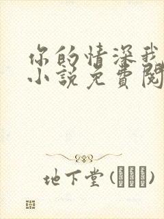 你的情深我不配小说免费阅读无弹窗