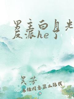 男主白月光她和反派he了