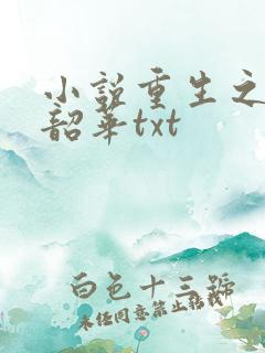 小说重生之不负韶华txt