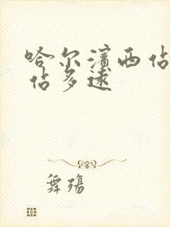 哈尔滨西站到东站多远