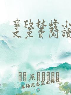 宁欣林峰小说全文免费阅读无弹窗