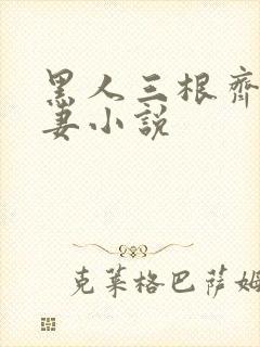 黑人三根齐进娇妻小说