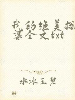 我的绝美总裁老婆全文txt