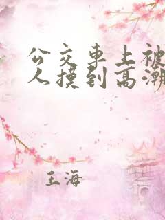 公交车上被陌生人摸到高潮