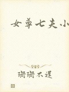 女尊七夫小说