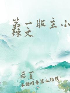 第一版主小说网辣文