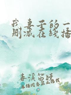 我妻子的一切未删减在线播放