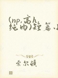 (np,高h,纯肉)短篇小说