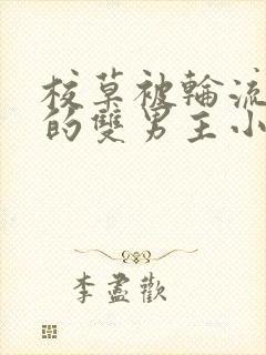 校草被轮流欺负的双男主小说