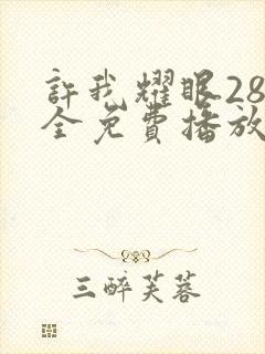 许我耀眼28集全免费播放