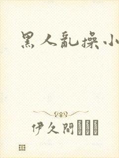 黑人乱操小说