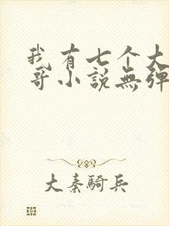 我有七个大佬哥哥小说无弹窗