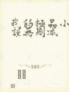 我的极品小姨小说无删减