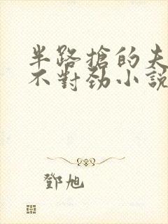 半路抢的夫君他不对劲小说免费阅读