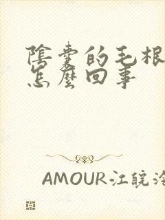 阴囊的毛根痒是怎么回事