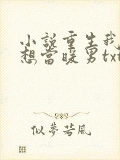 小说重生我真没想当暖男txt