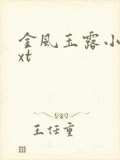 金风玉露小说txt