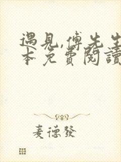 遇见,傅先生全本免费阅读