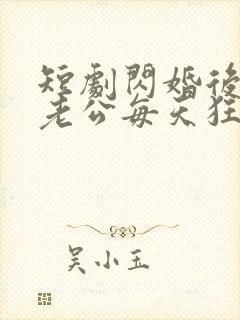 短剧闪婚后大叔老公每天狂宠我在线观看