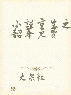 小说重生之不负韶华免费