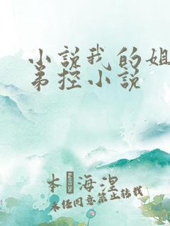 小说我的姐姐很弟控小说